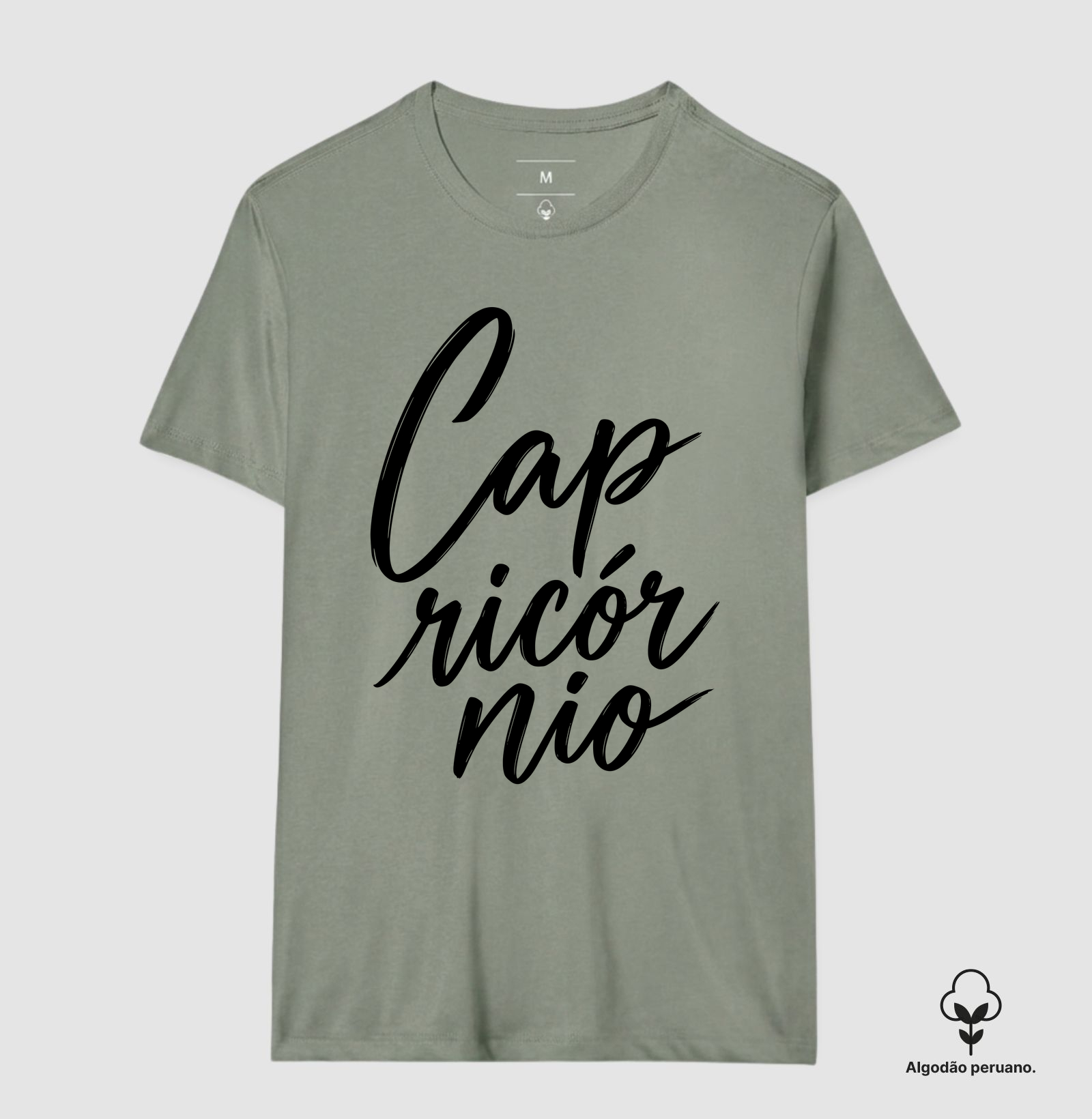 Capricórnio - Imagem 9