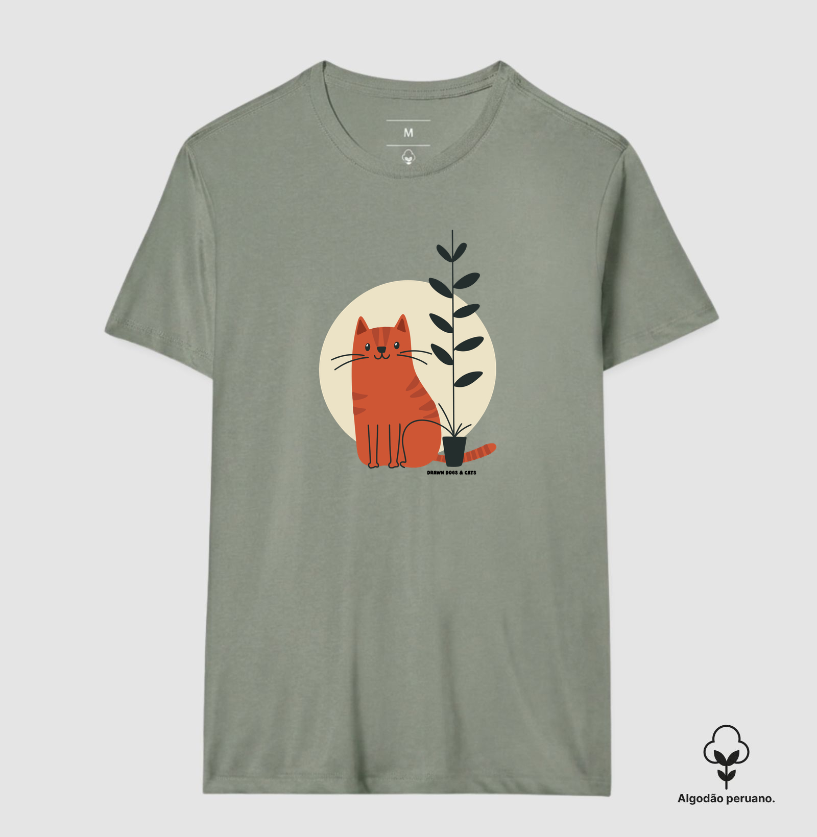 Gato laranja, fundo claro e vaso de planta - Imagem 6
