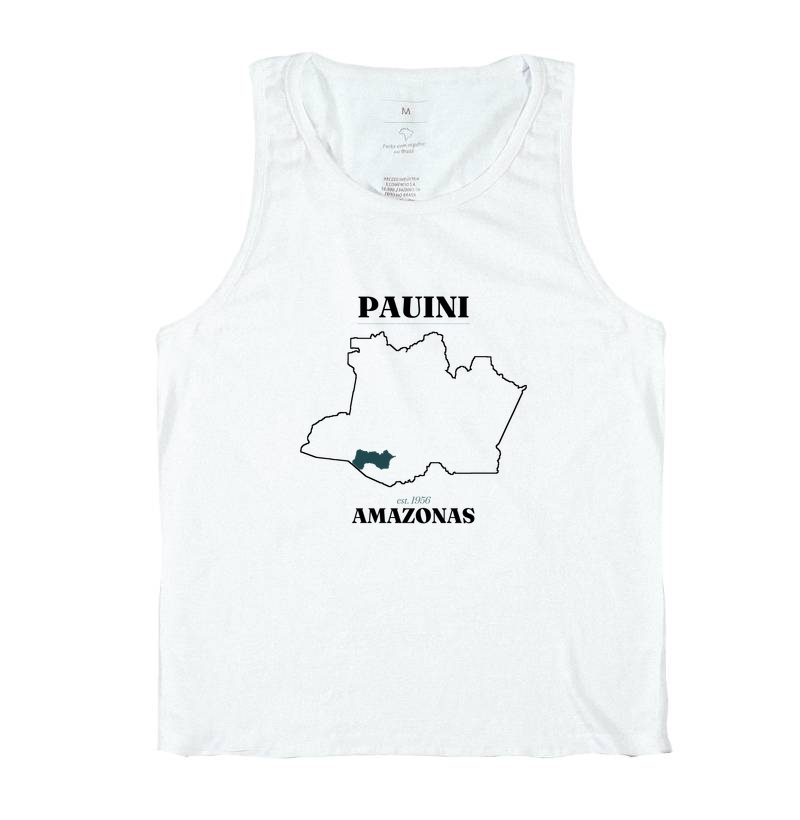 Pauini | Legado AM - Imagem 2
