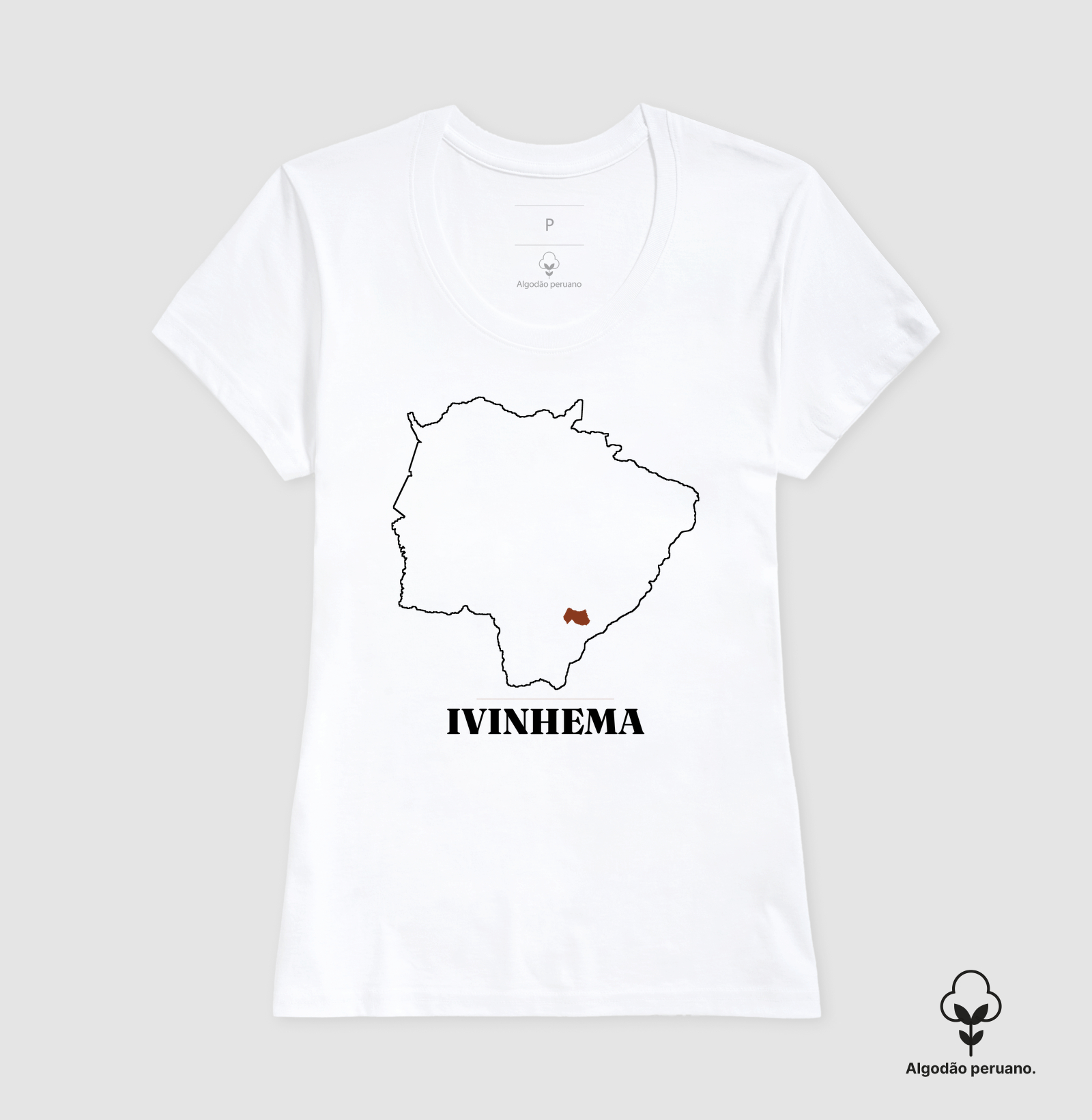 Ivinhema | Traço MS - Imagem 4