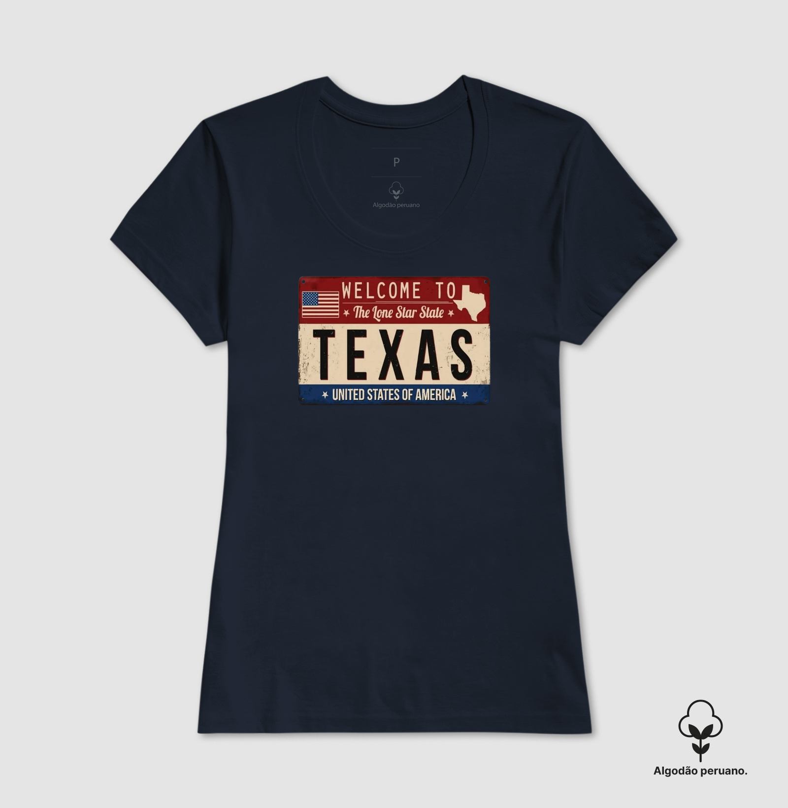 Texas (placa envelhecida) - Imagem 2