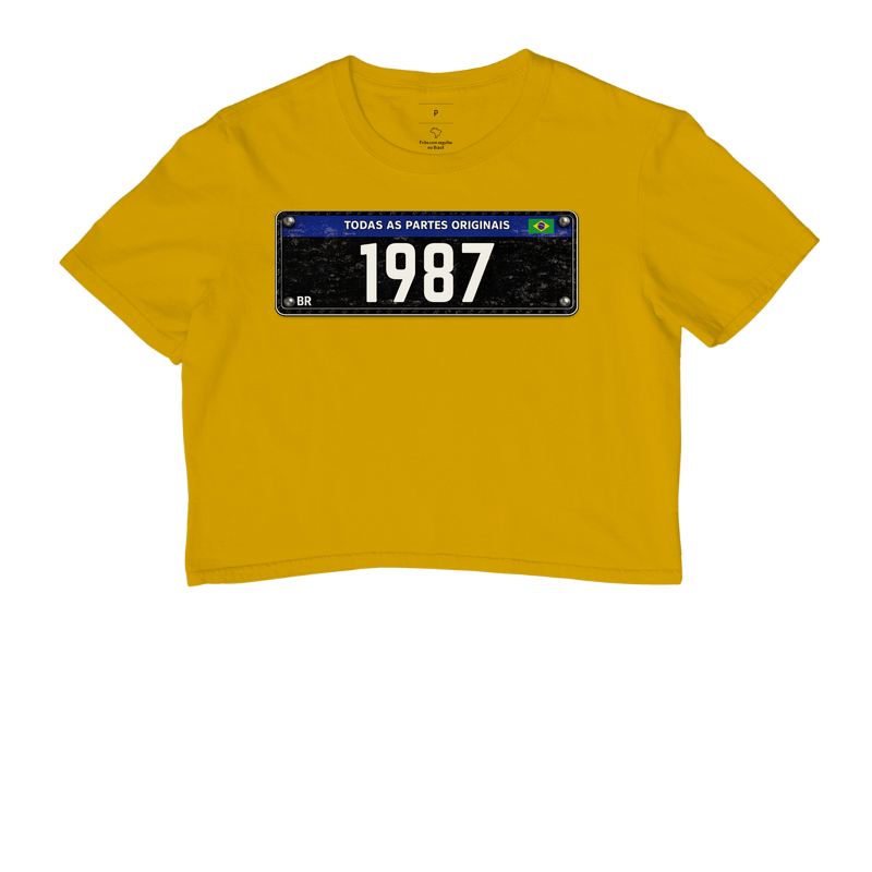 Placa Preta 1987 - Imagem 8