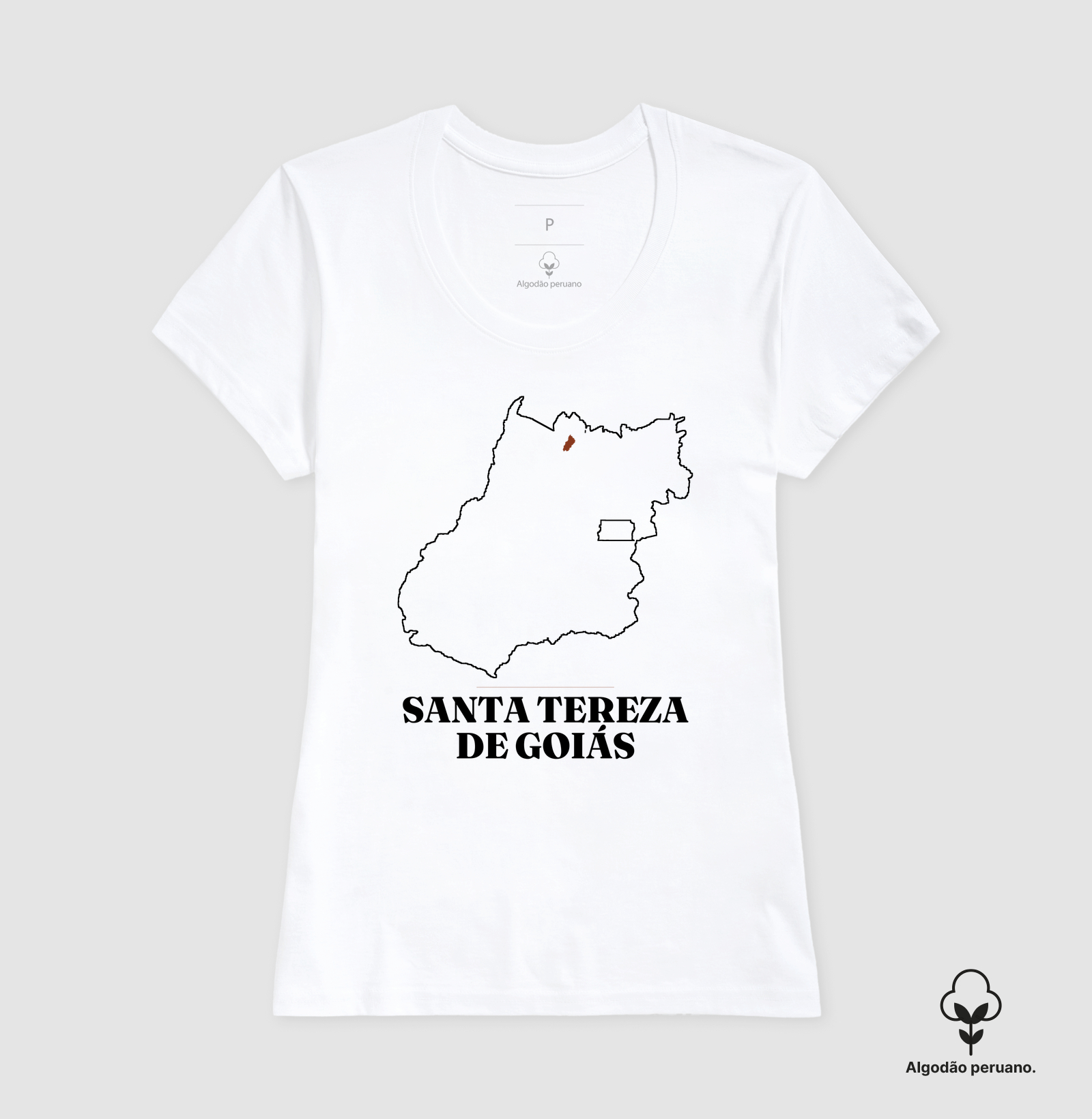 Santa Tereza de Goiás | Traço GO - Imagem 7