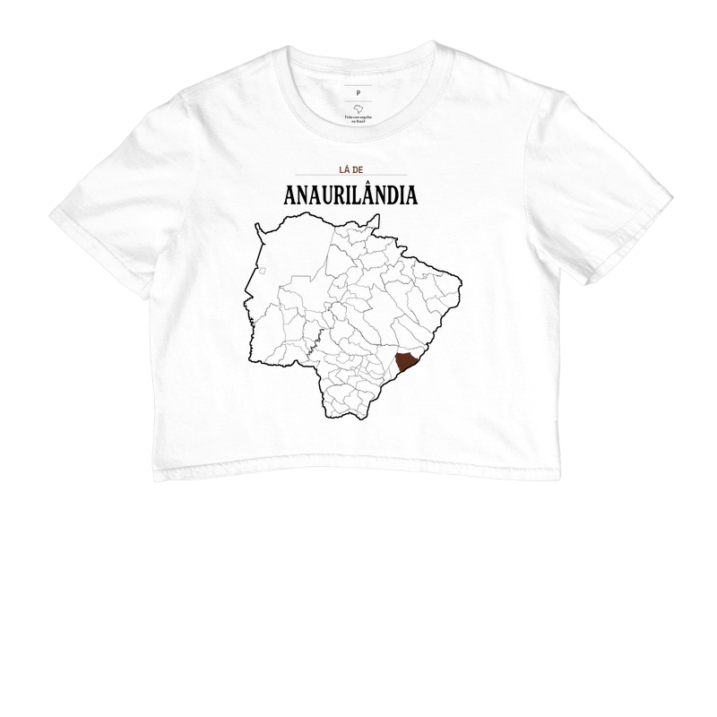 Anaurilândia | Território MS - Imagem 3