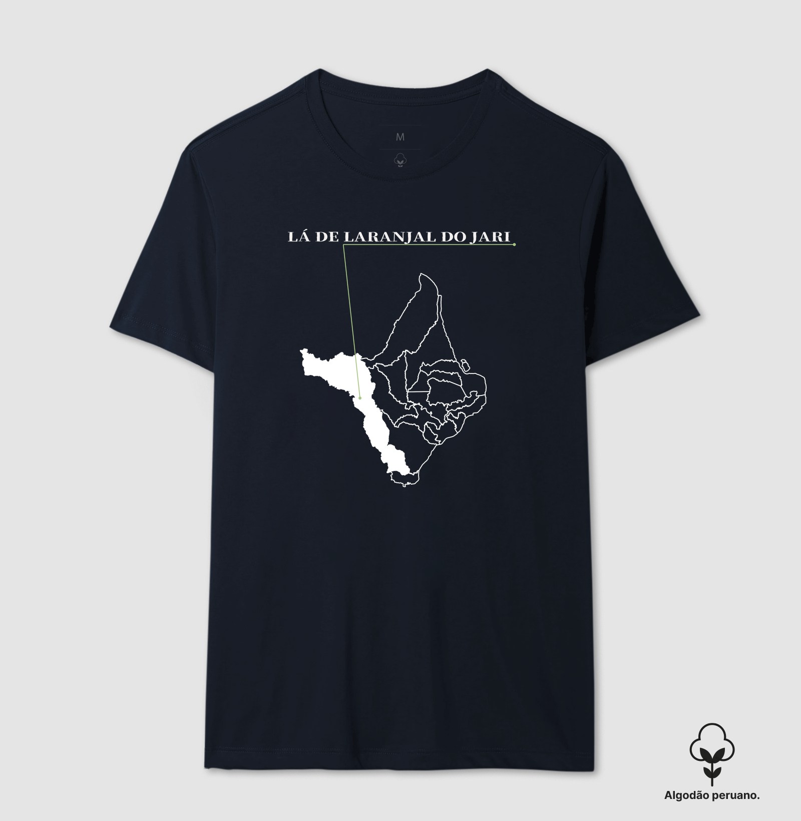 Laranjal do Jari | Origem AP - Imagem 9