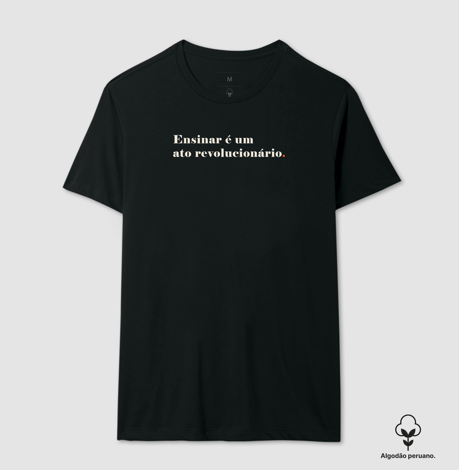 Ensinar é um Ato Revolucionário - Imagem 4