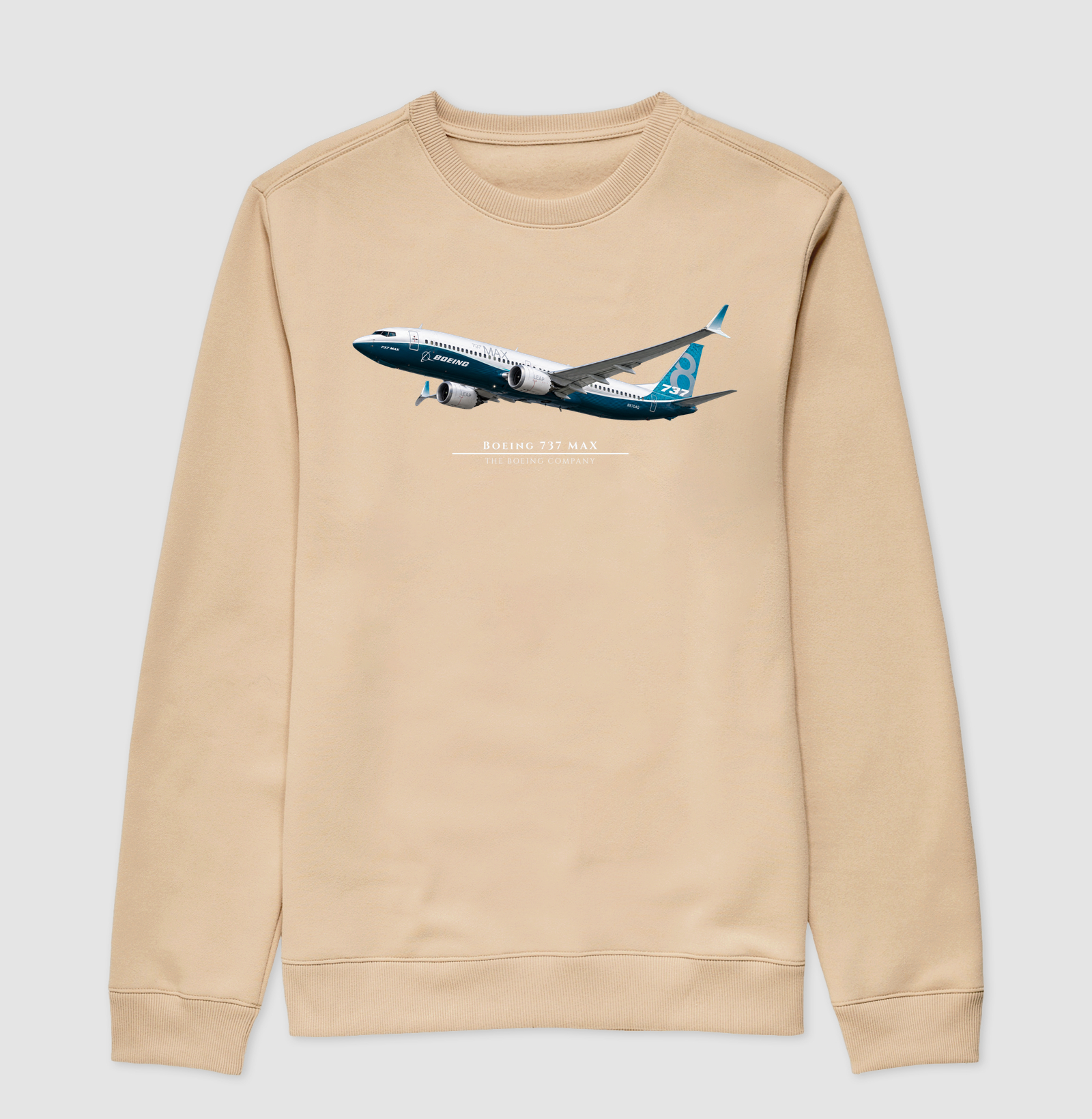 Boeing 737 MAX - Imagem 3