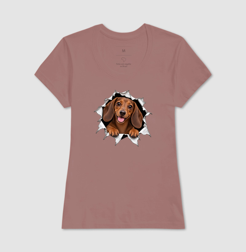 Dachshund Saindo Pelo Rasgo - Imagem 17