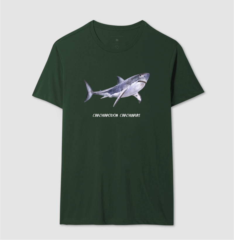Carcharodon carcharias - Imagem 14