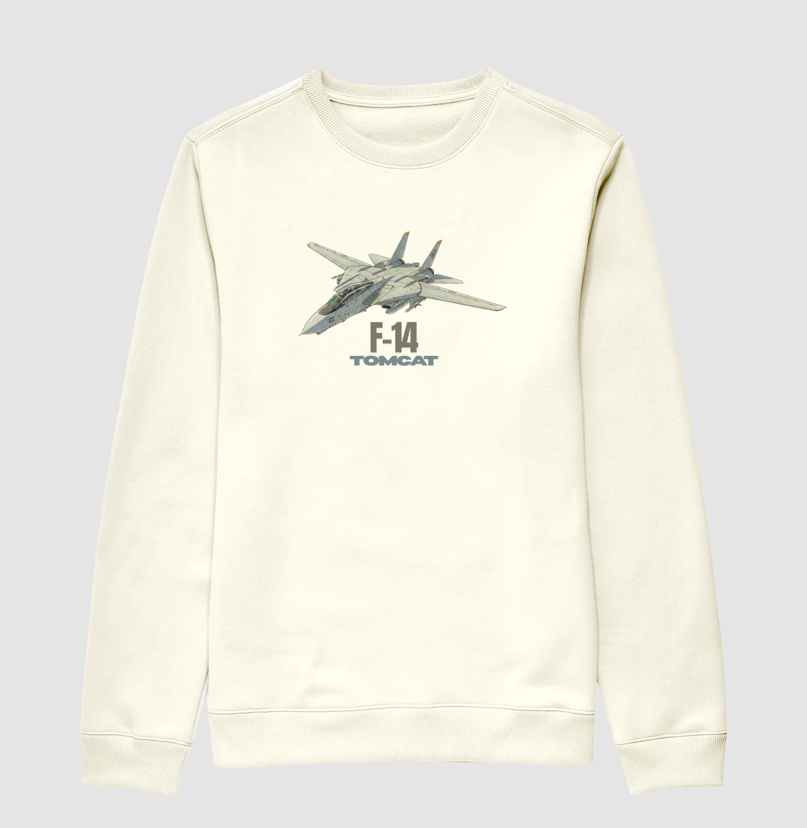F-14 TOMCAT - Imagem 2
