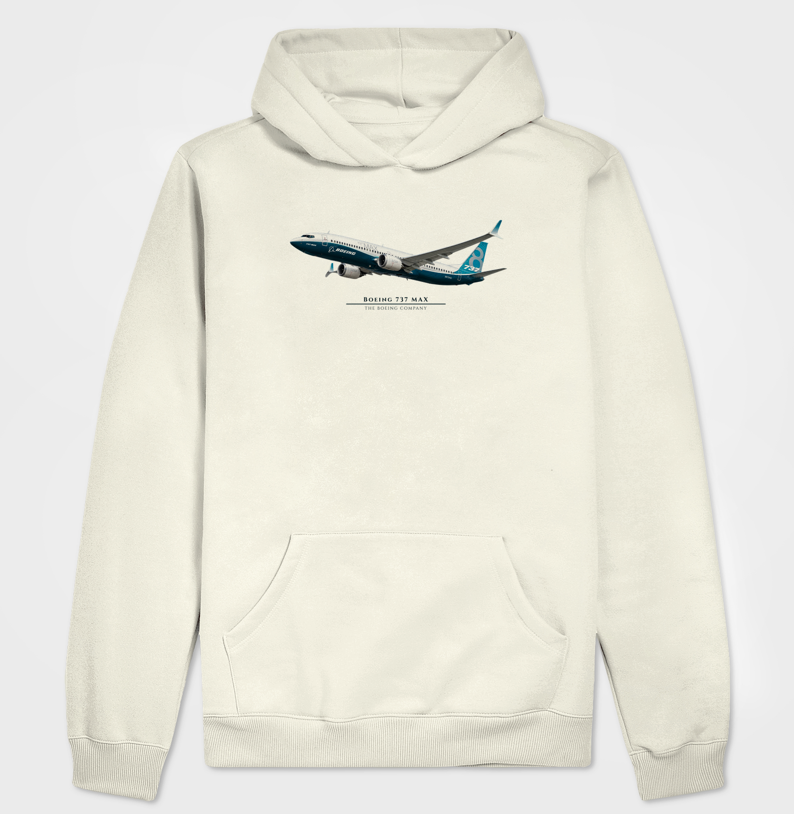 Boeing 737 MAX - Imagem 3