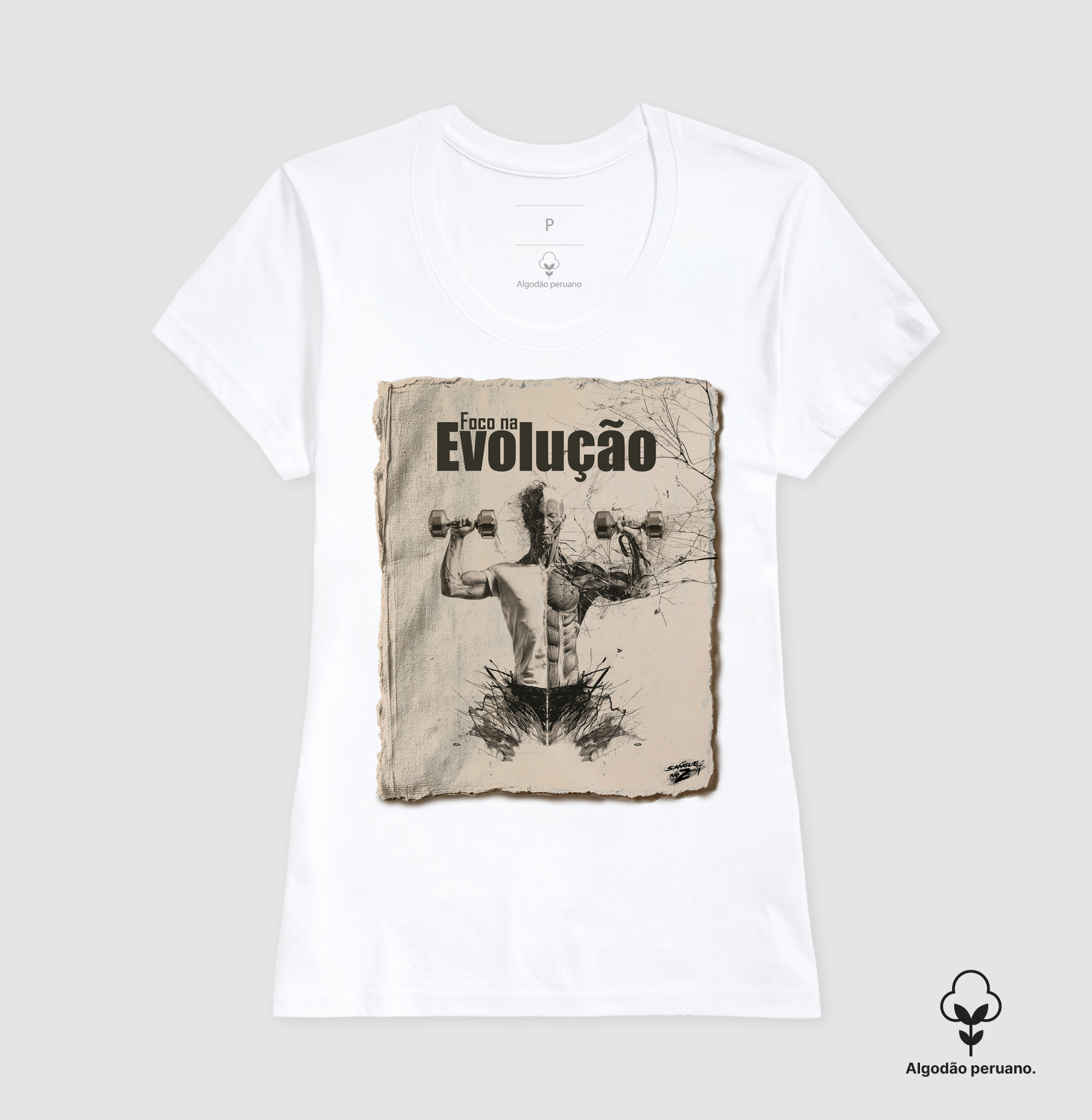 Foca na Evolução - Imagem 6