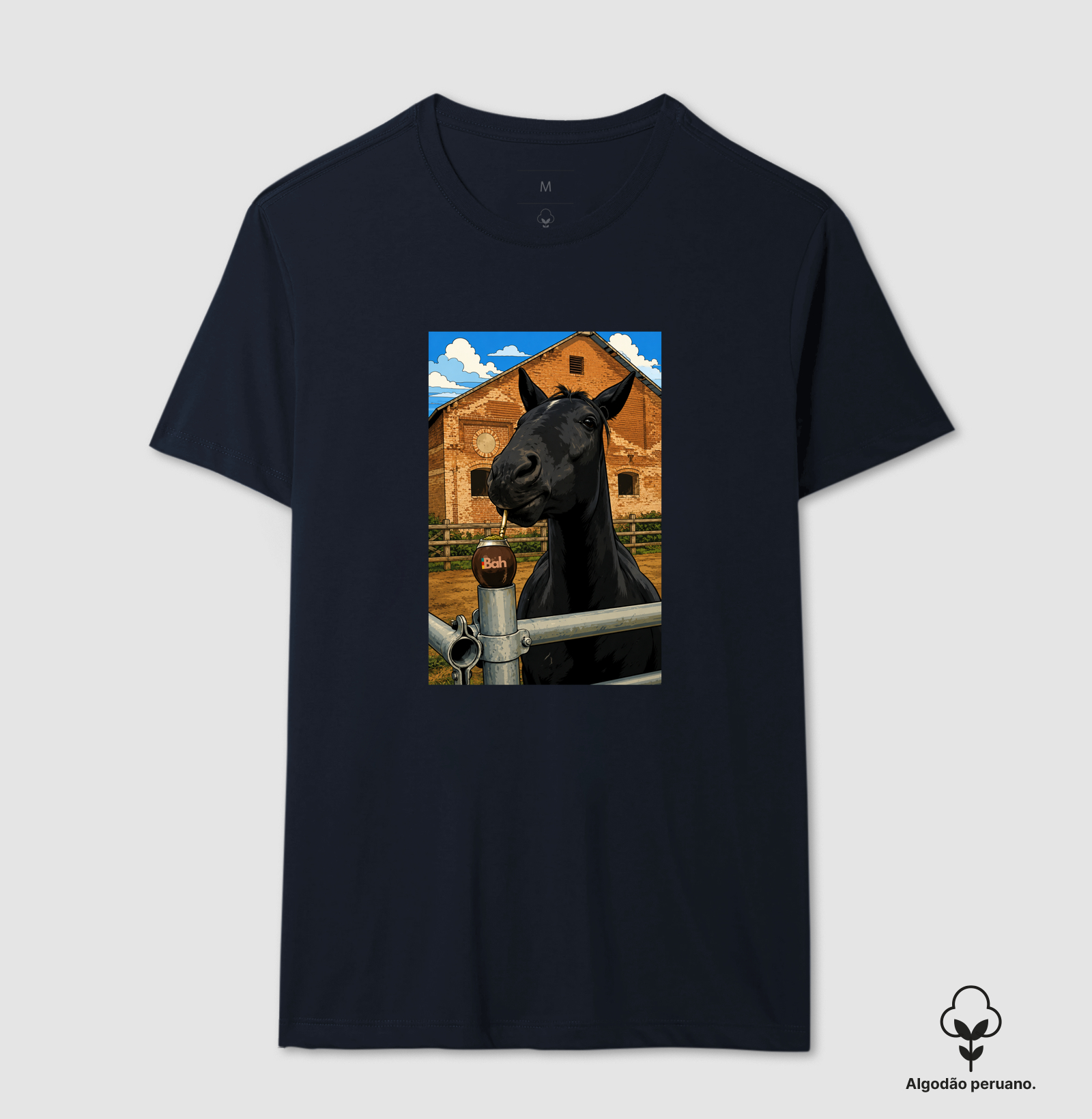 Cavalo Gaúcho - Imagem 6