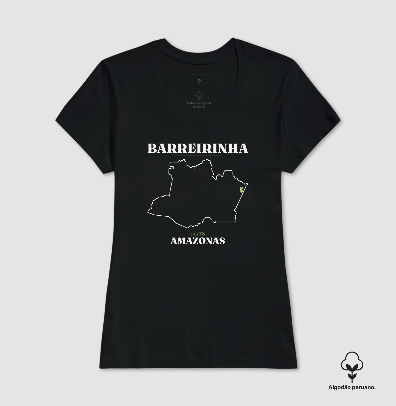 Barreirinha | Legado AM - Imagem 3