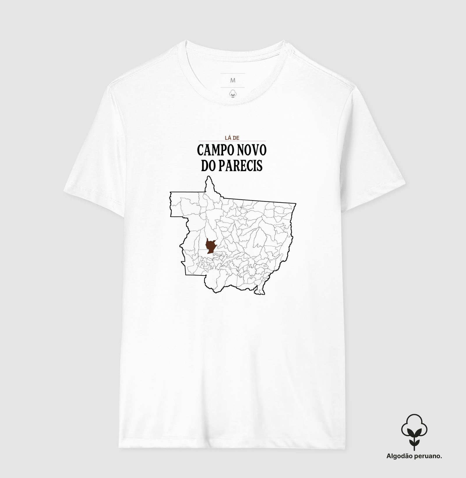 Campo Novo do Parecis | Território MT - Imagem 4