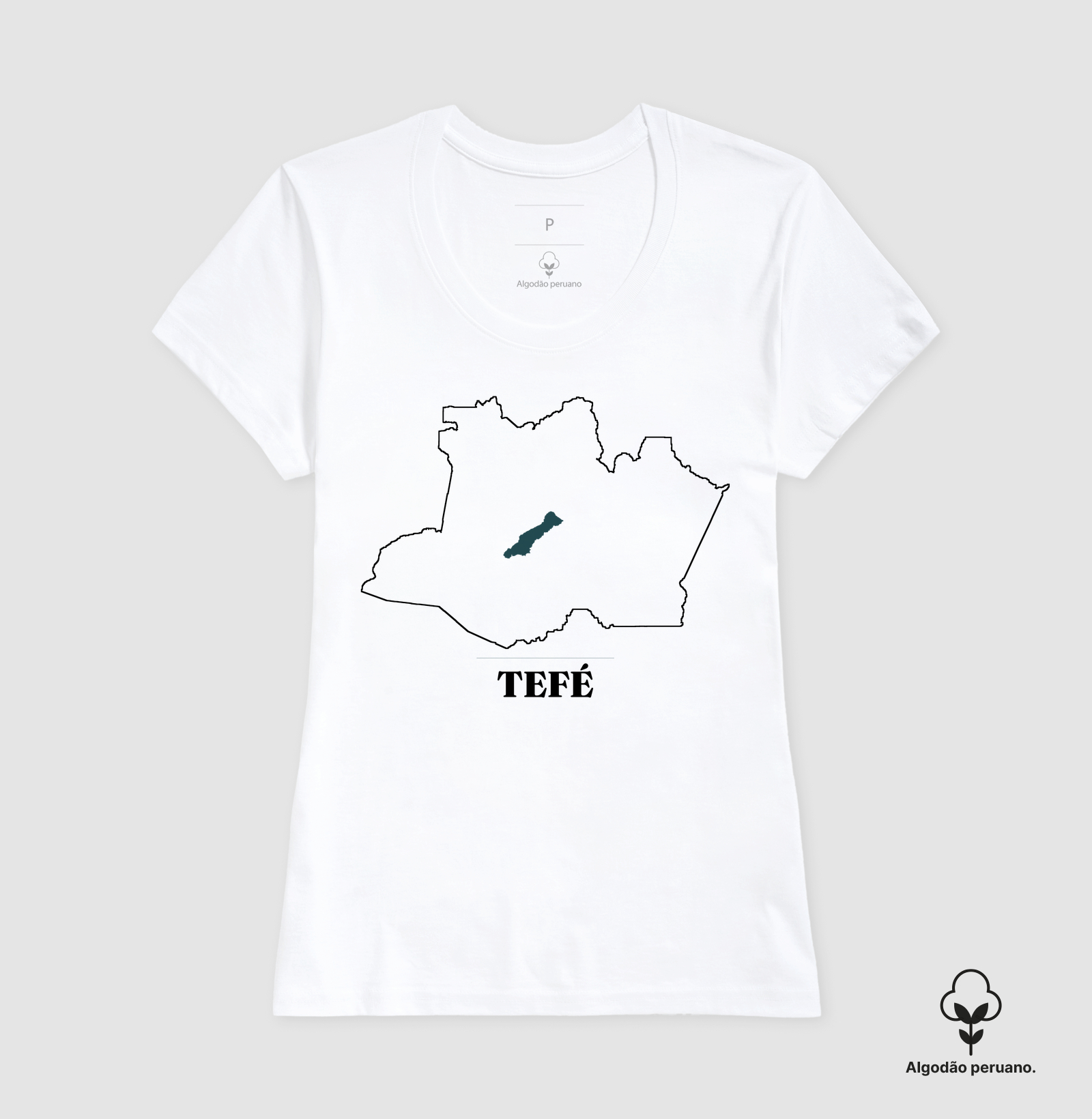 Tefé | Traço AM - Imagem 2