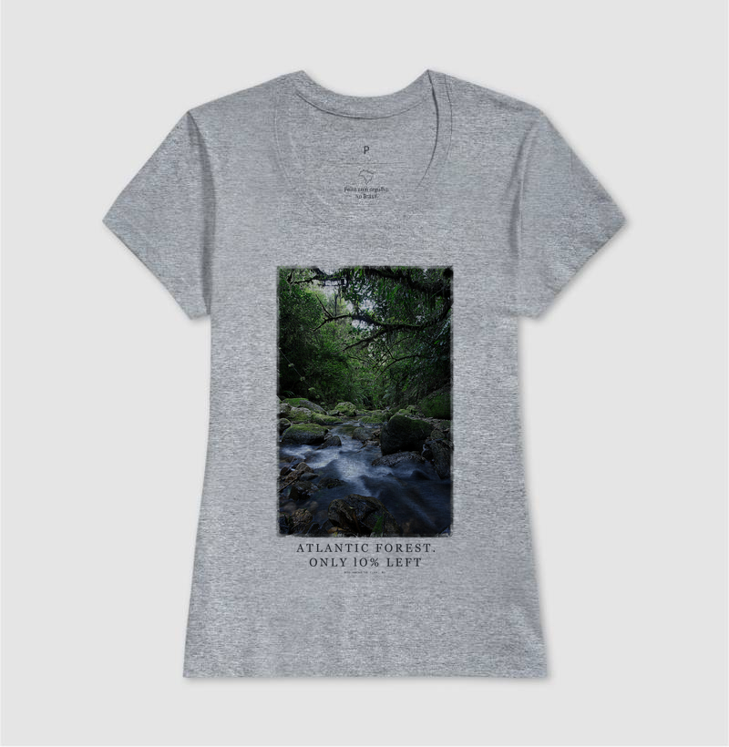 Atlantic Forest - Imagem 5