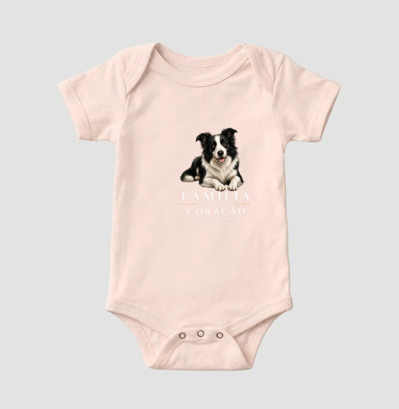 Border Collie - Família - Imagem 5