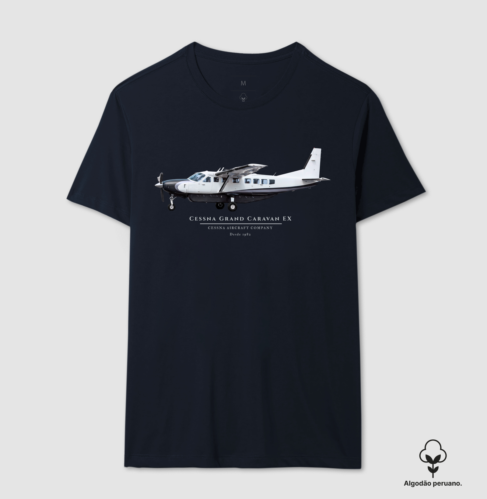 Cessna Grand Caravan EX - Imagem 6