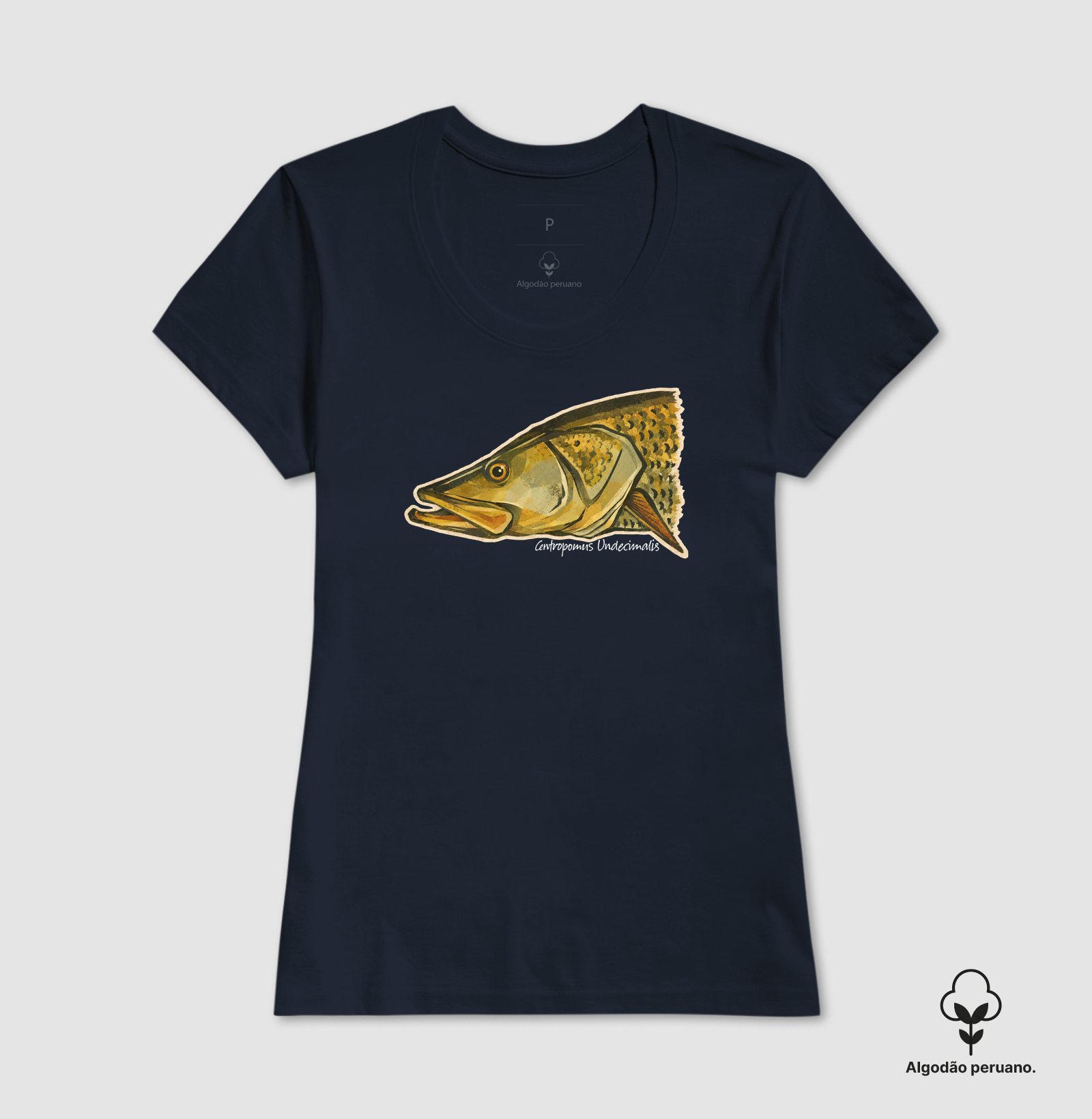 Robalo-Flecha - Imagem 6