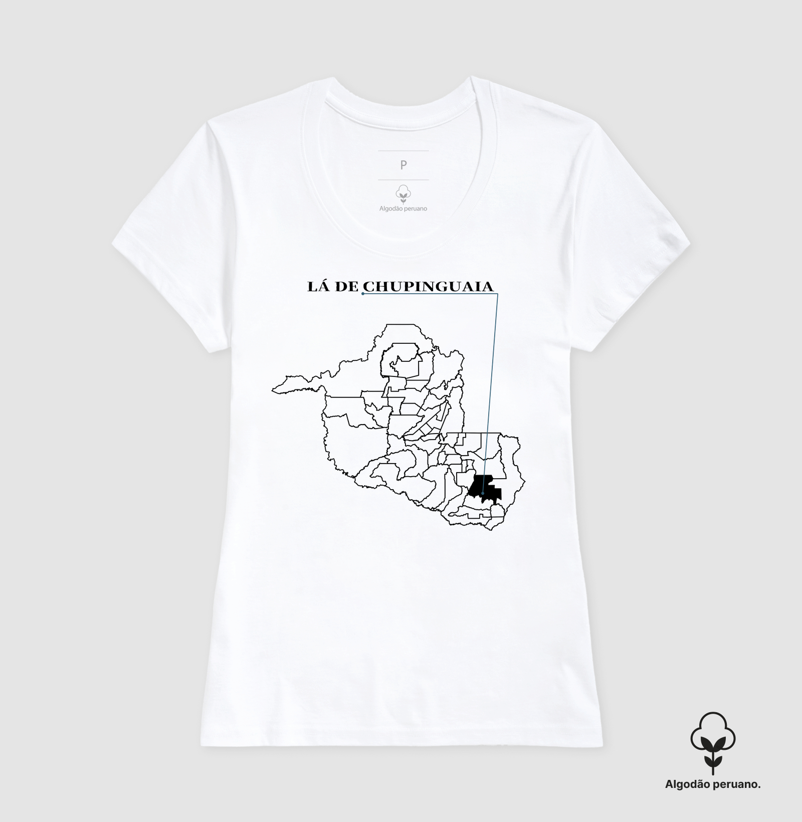 Chupinguaia | Origem RO - Imagem 8