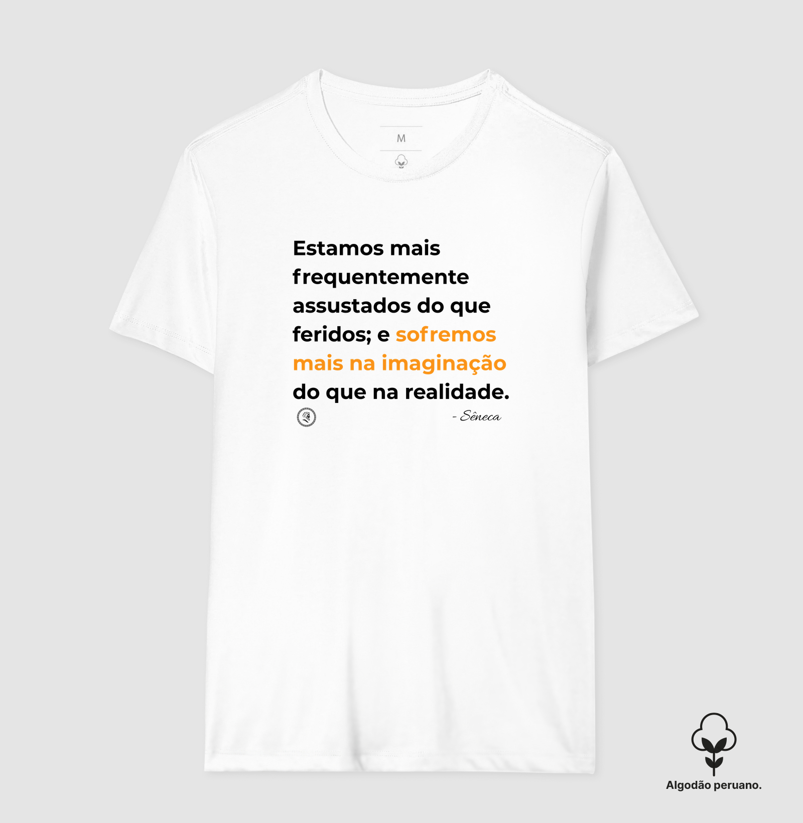 Filosofia Estoicismo de Sêneca "Sofremos mais na imaginação" - Imagem 3