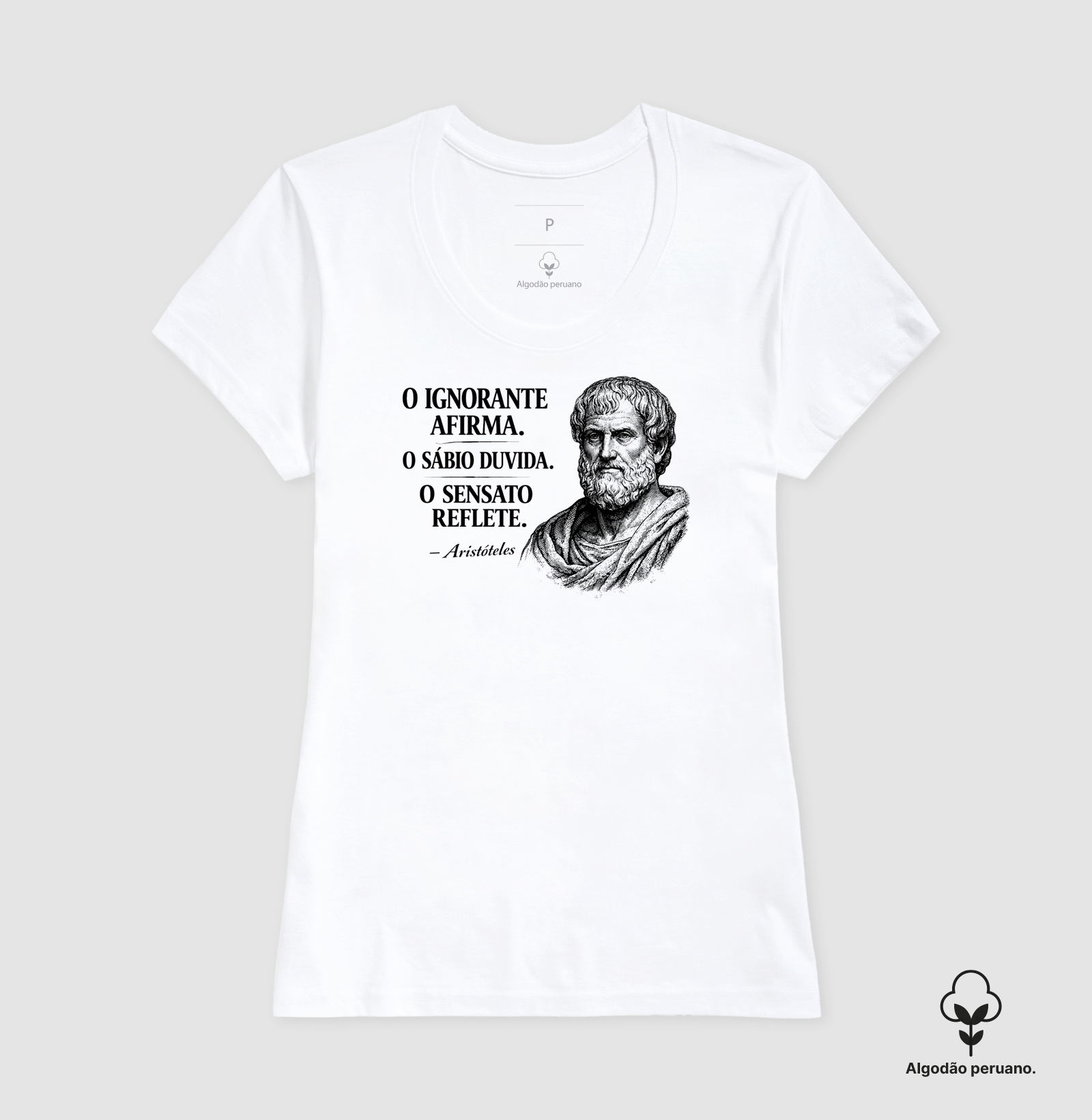 Filosofia de Aristóteles - Imagem 5