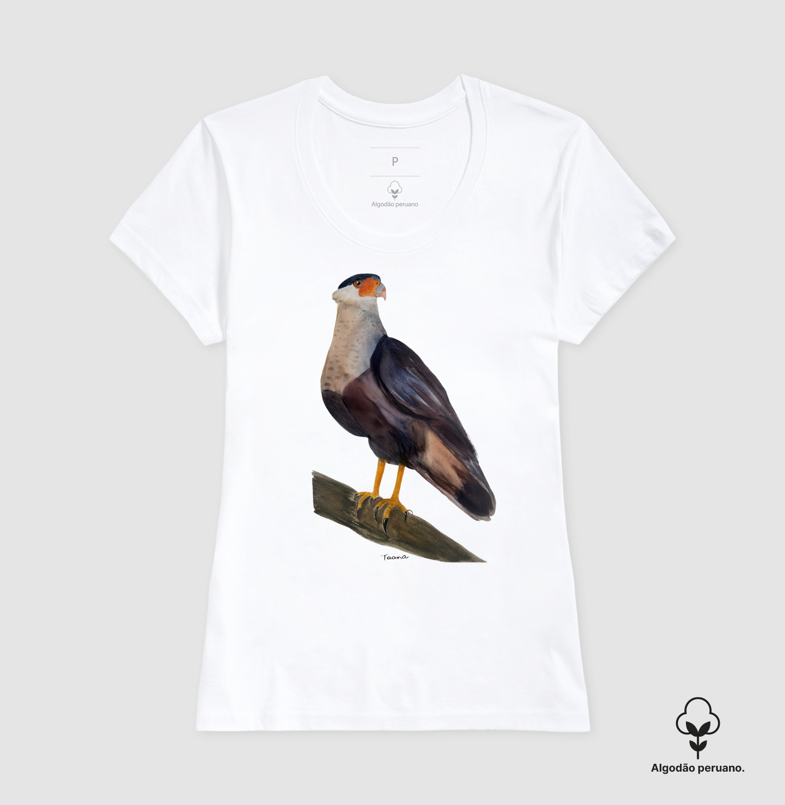 Camiseta Carcará – Aves do Brasil Algodão Peruano - Imagem 6