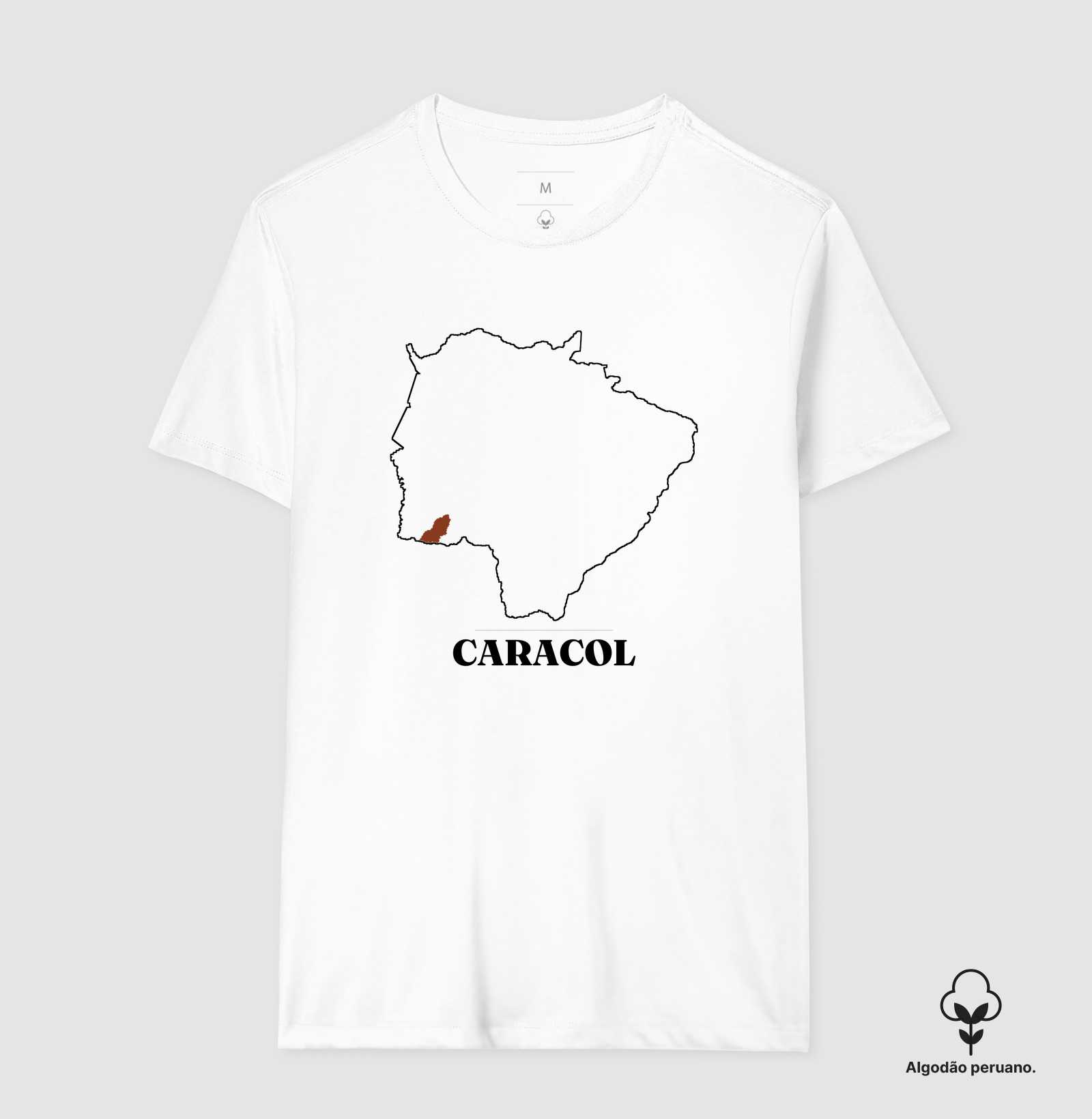 Caracol | Traço MS - Imagem 7