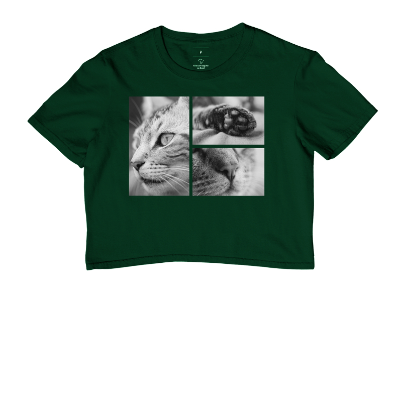 Essência Felina - Imagem 5
