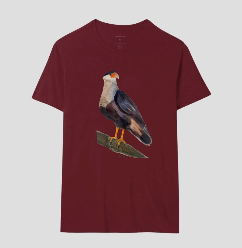 Camiseta Carcará – Aves do Brasil - Imagem 15