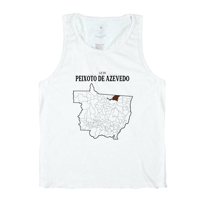 Peixoto de Azevedo | Território MT - Imagem 2