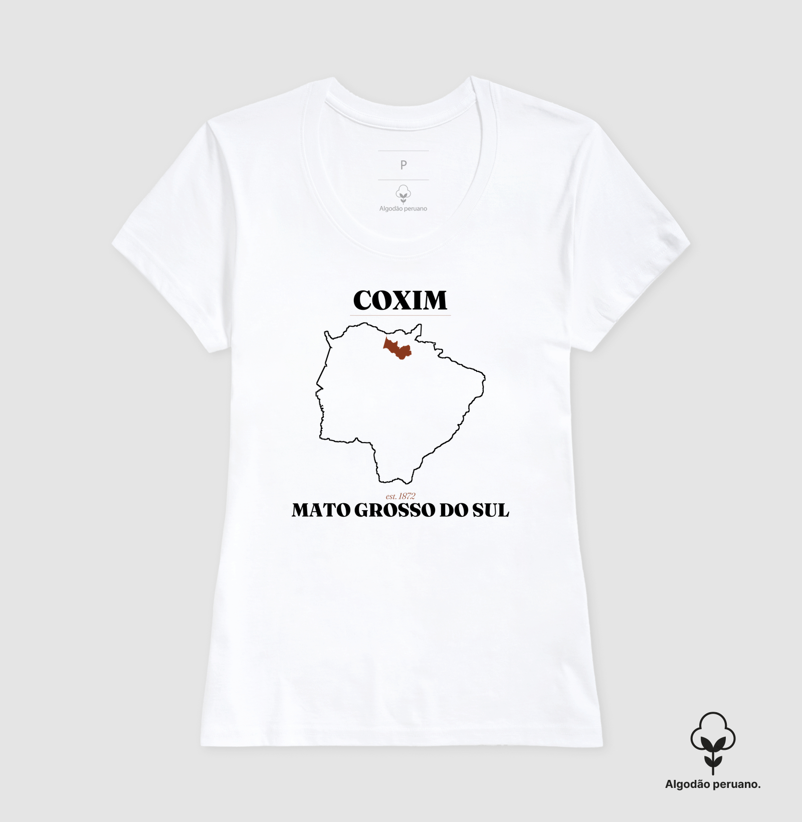 Coxim | Legado MS - Imagem 3