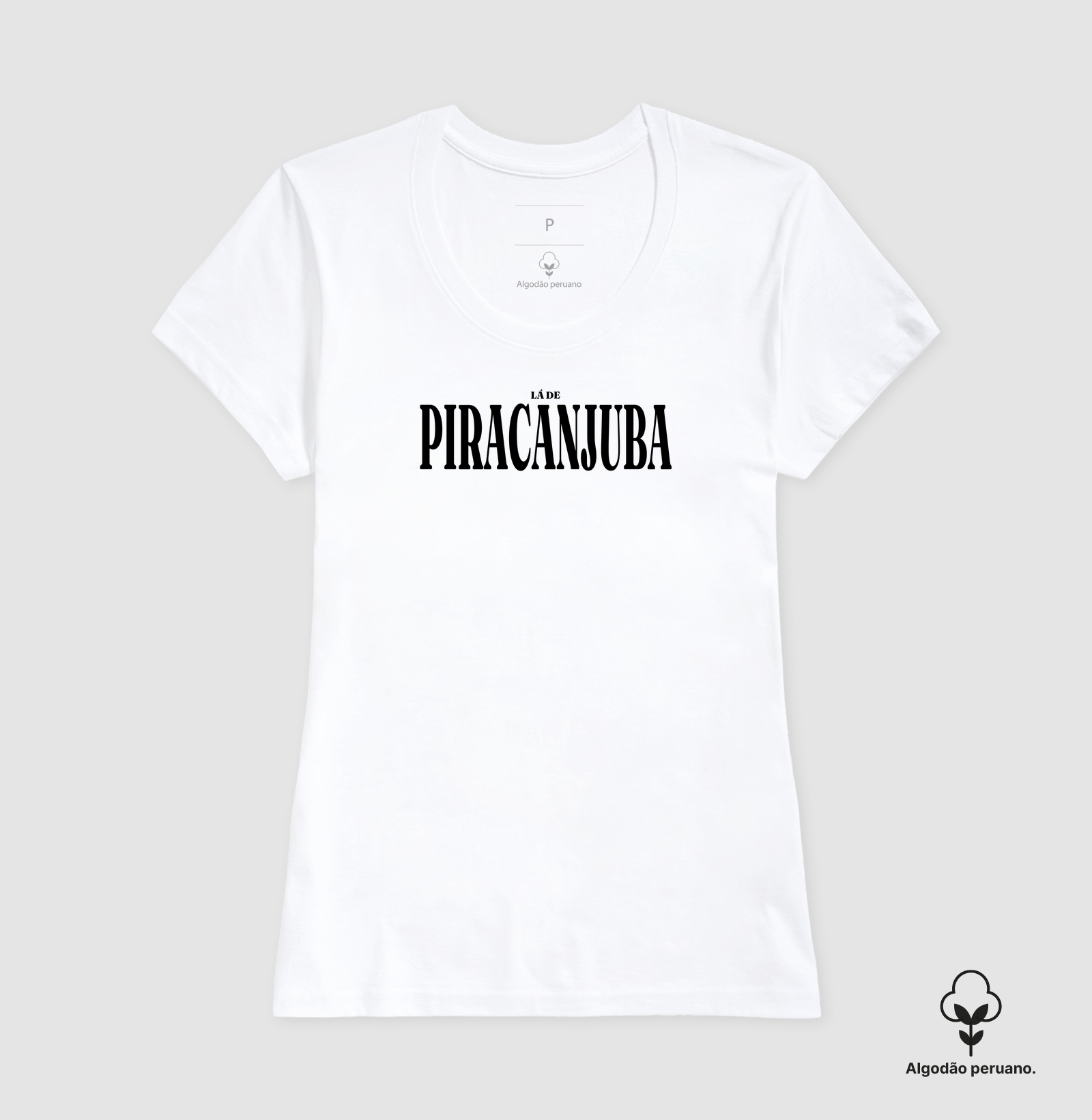 Piracanjuba | Tipografia GO - Imagem 3