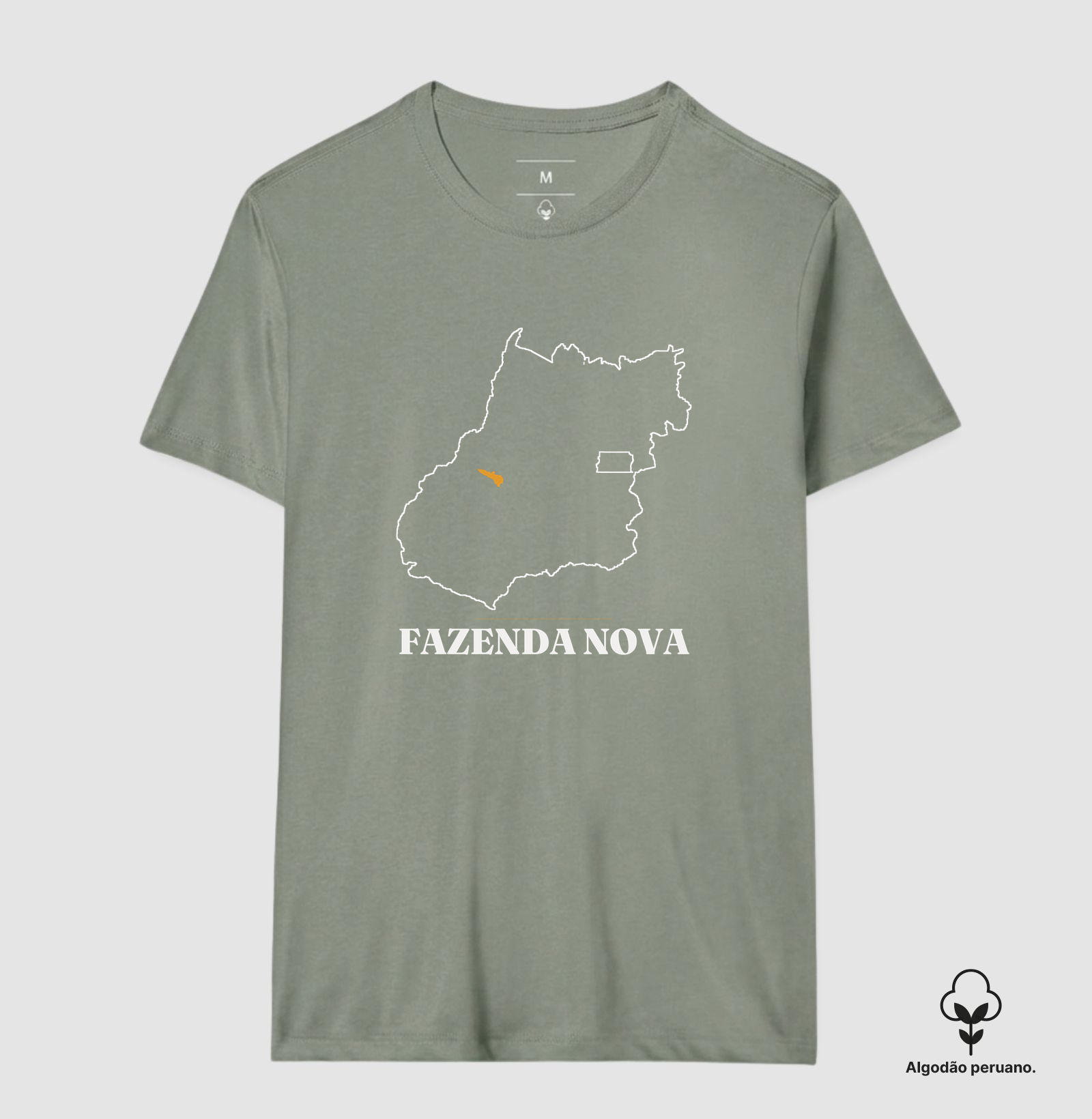 Fazenda Nova | Traço GO - Imagem 8