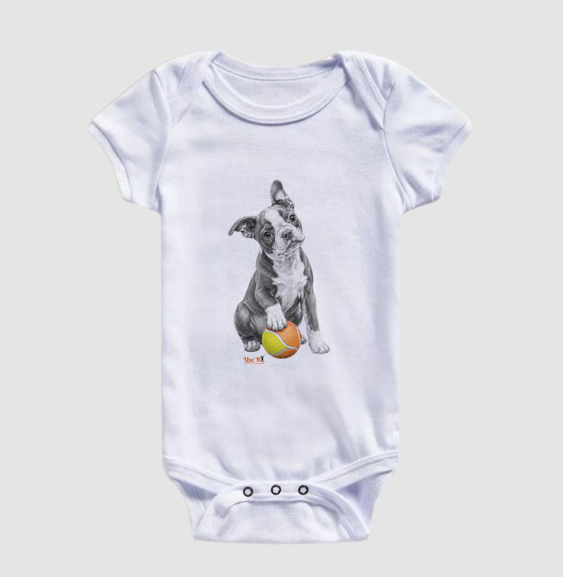 Boston Terrier do Beach - Imagem 3