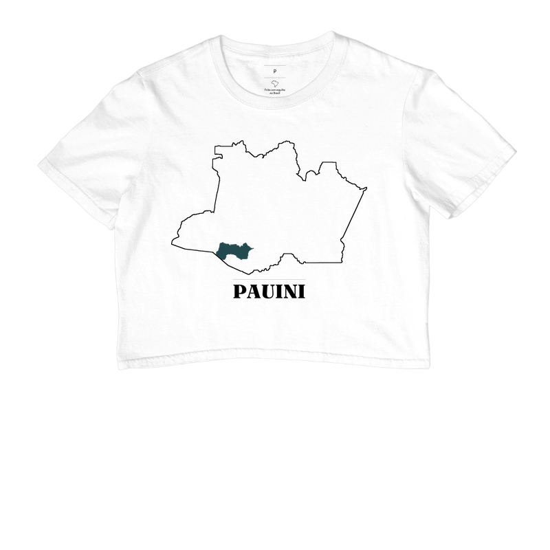 Pauini | Traço AM - Imagem 3