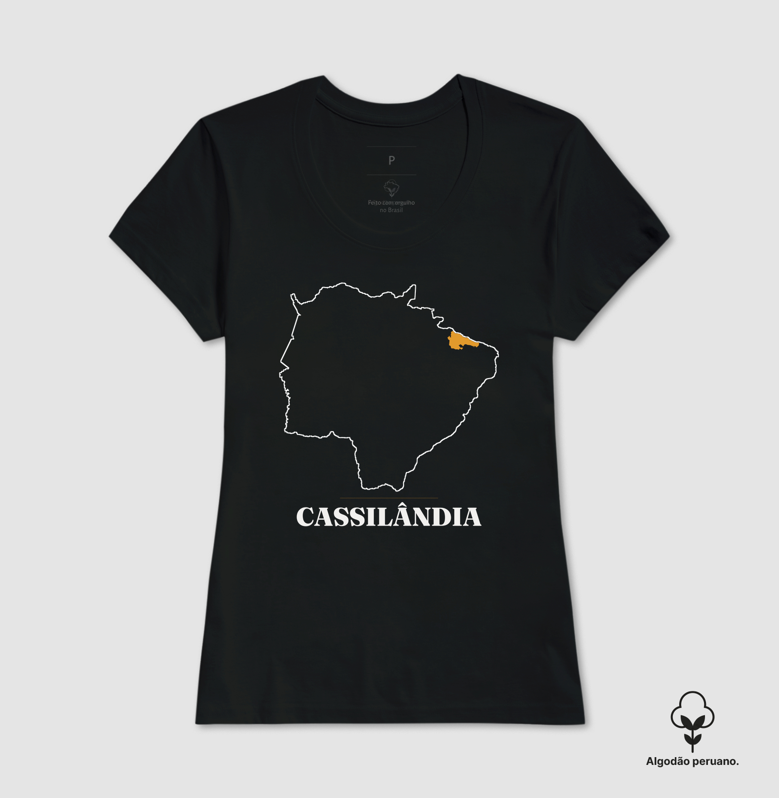 Cassilândia | Traço MS - Imagem 4