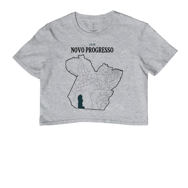 Novo Progresso | Território PA - Imagem 6