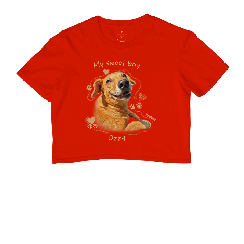 PTZU_UN-001 - Imagem 7