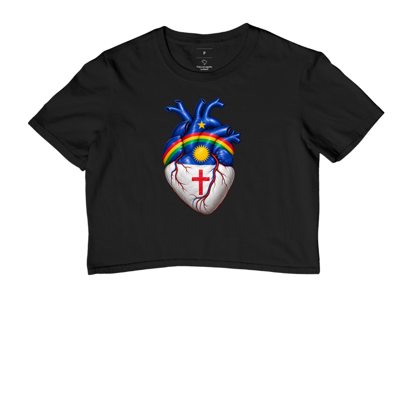Pernambuco | Coração - Imagem 2