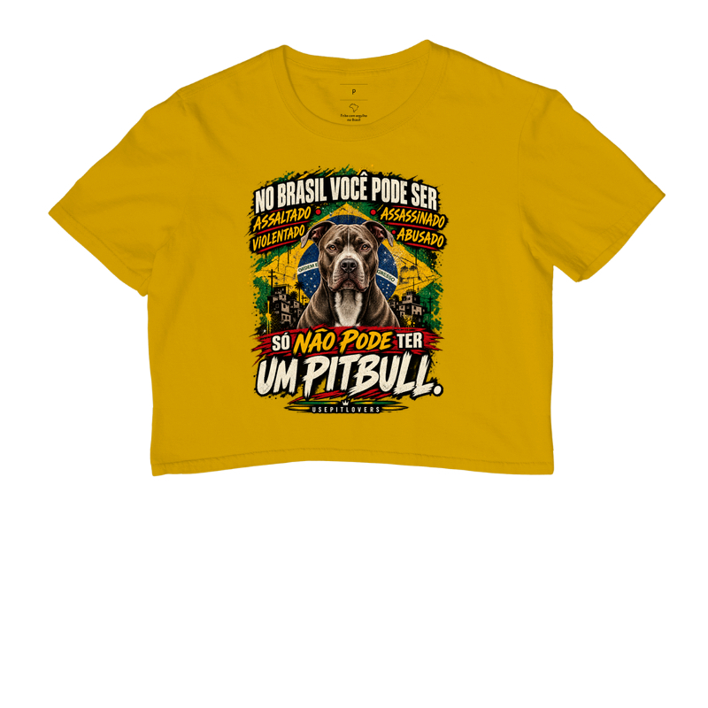 NO BRASIL VOCÊ PODE SER ASSALTADO, ASSASSINADO, VIOLENTADO, ABUSADO. SÓ NÃO PODE TER UM PITBULL. - Imagem 8