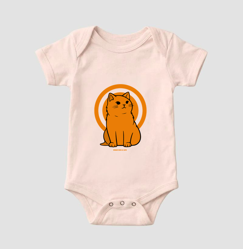 Gato laranja - Imagem 5