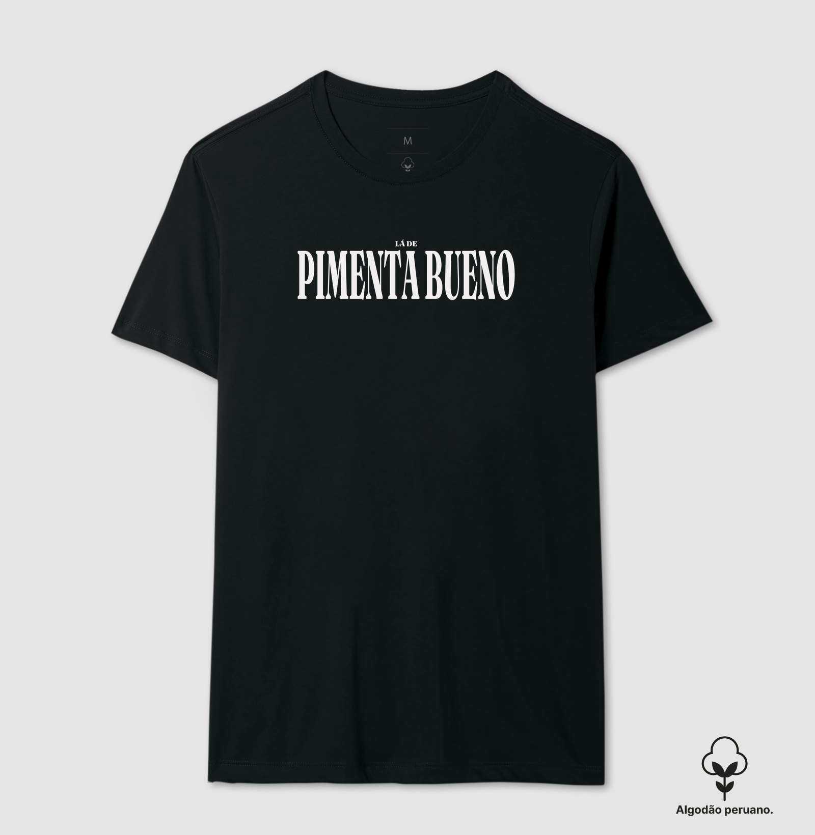 Pimenta Bueno | Tipografia RO - Imagem 5