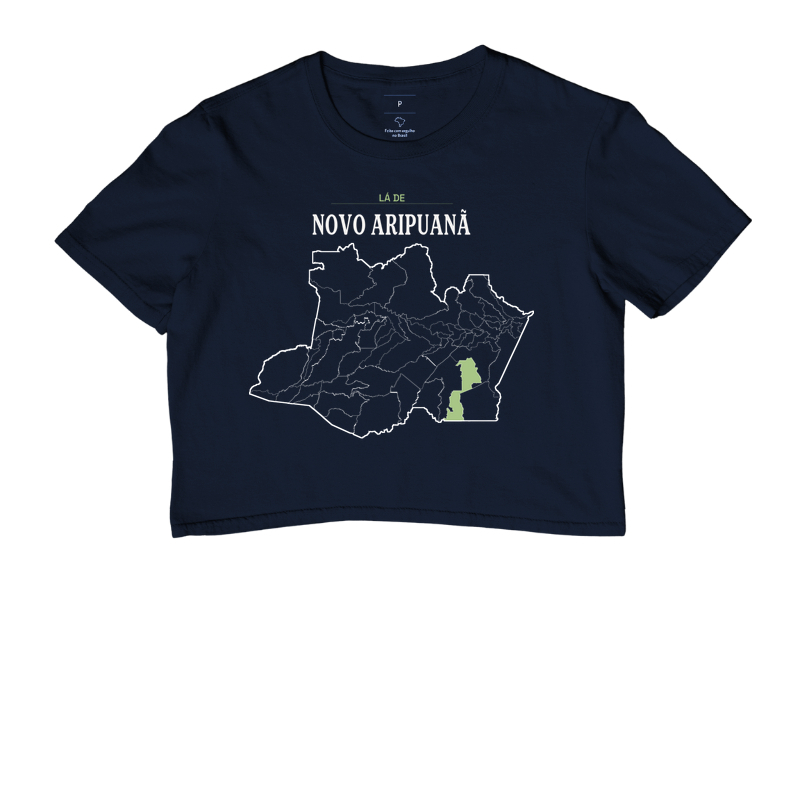 Novo Aripuanã | Território AM - Imagem 4