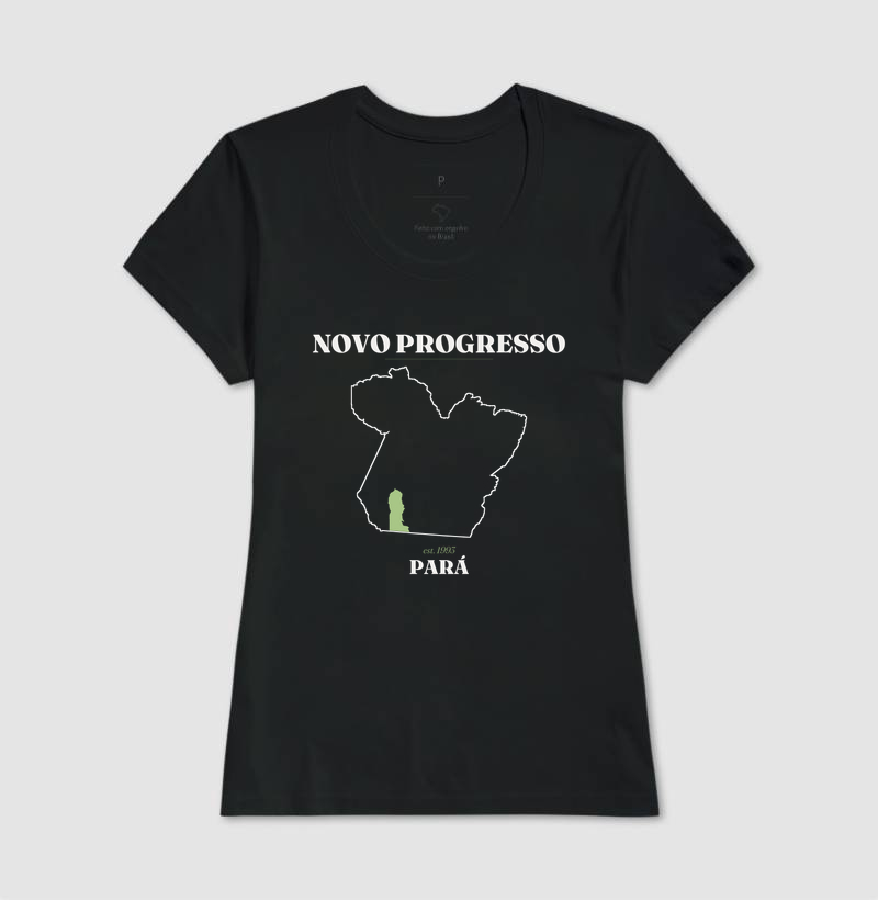 Novo Progresso | Legado PA - Imagem 3