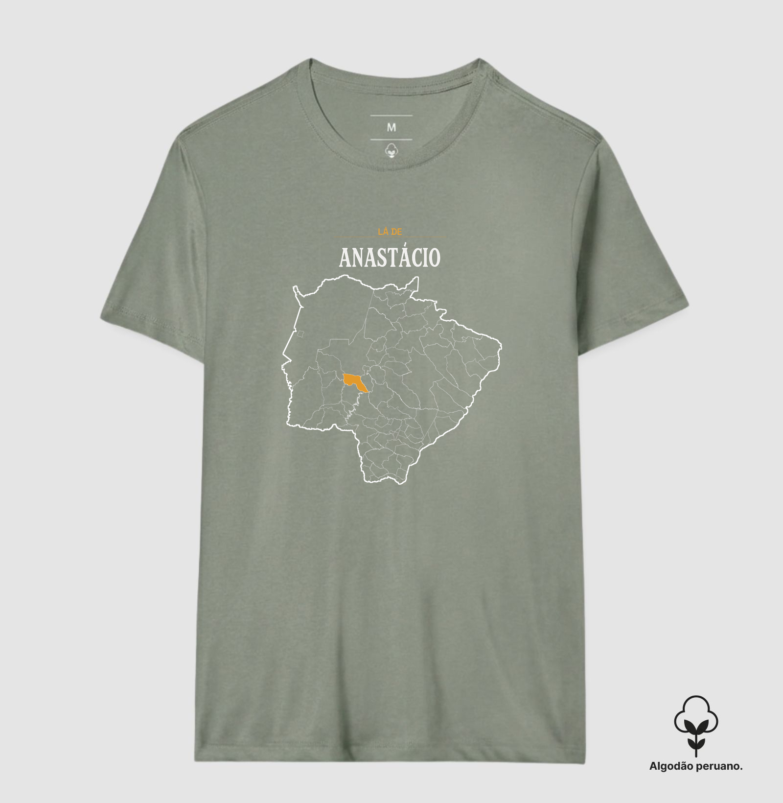 Anastácio | Território MS - Imagem 9