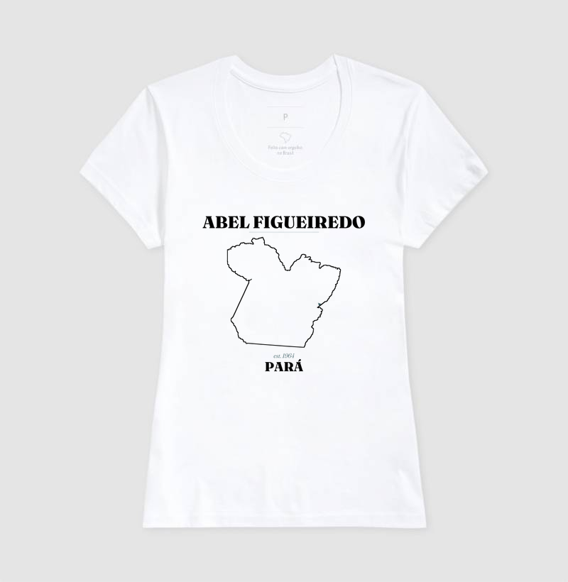 Abel Figueiredo | Legado PA - Imagem 5