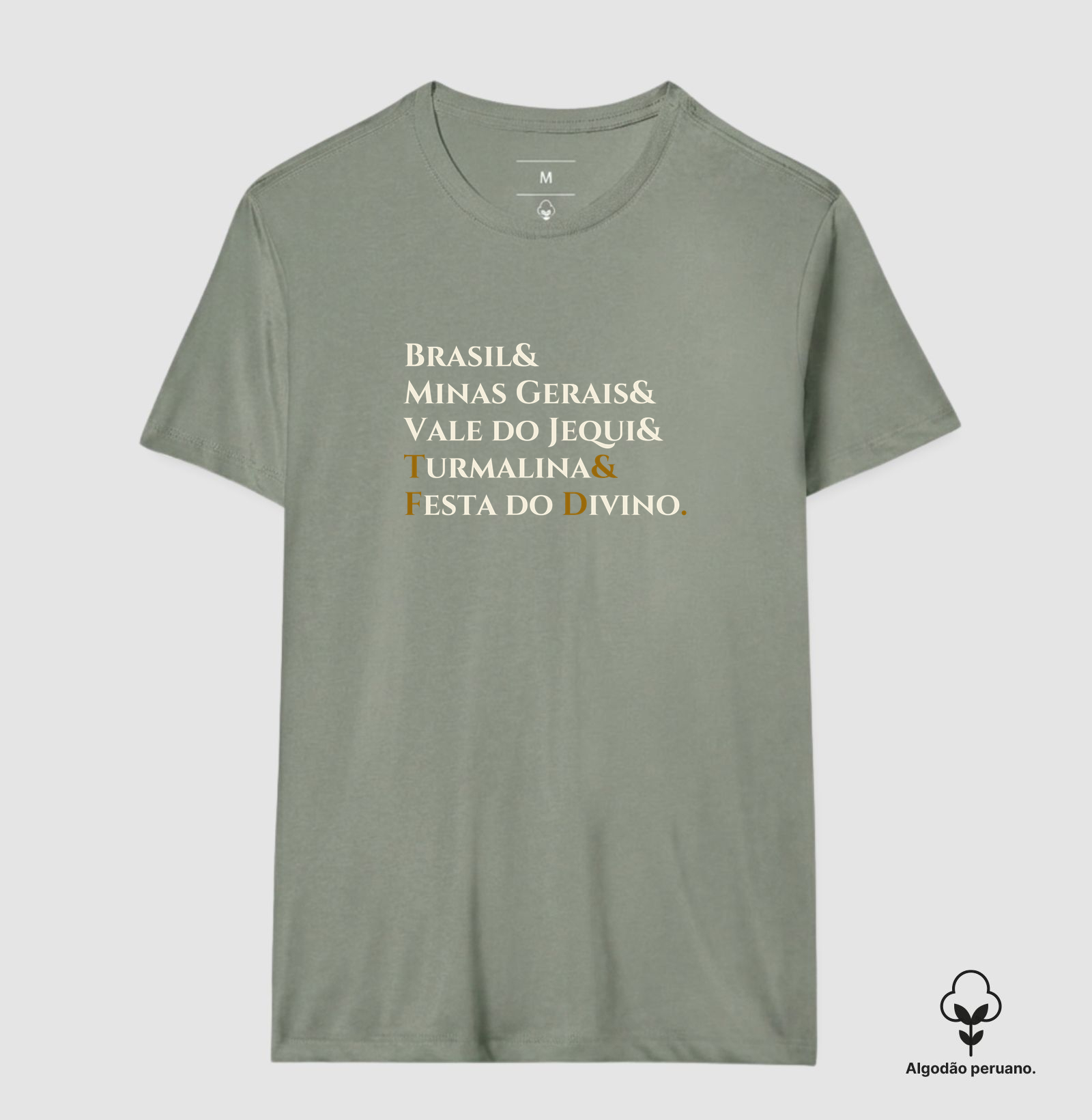 Camisa 1