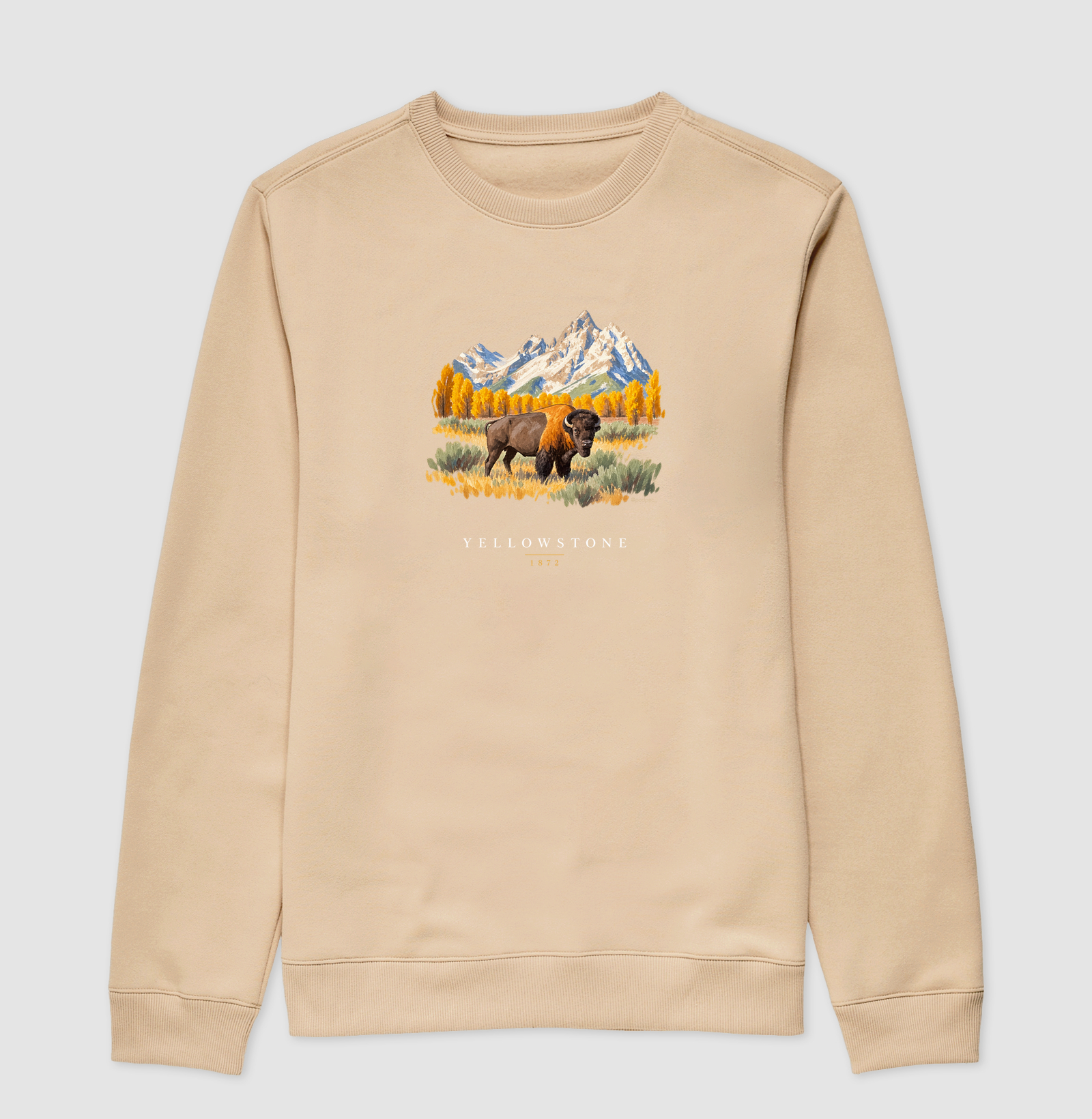 Bison - Yellowstone - Imagem 3